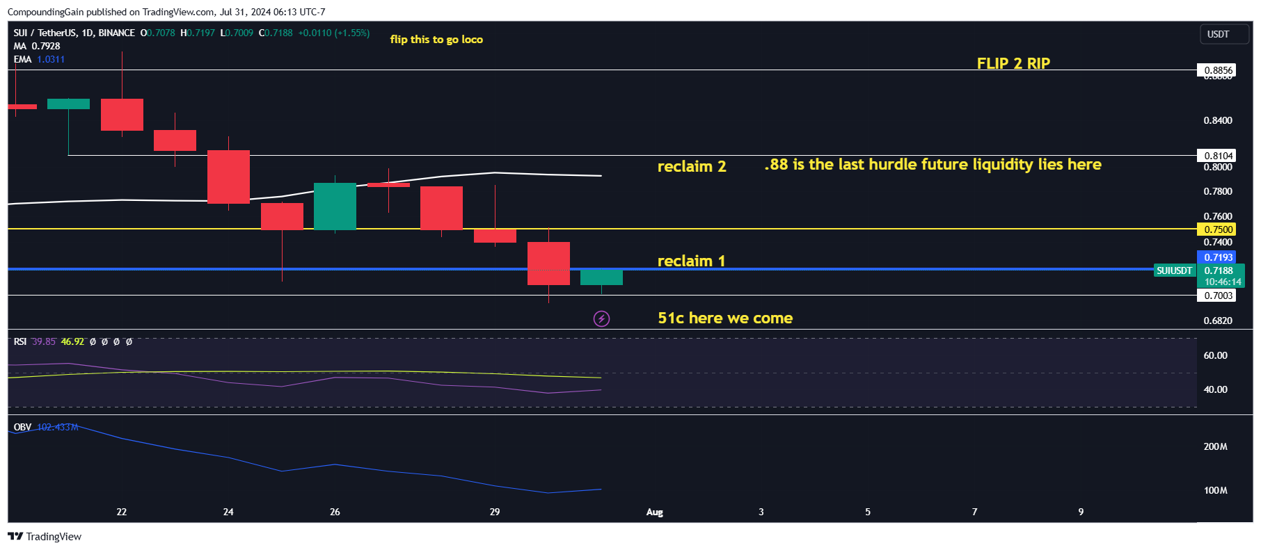 BINANCE:SUIUSDT Chart Image by CompoundingGain