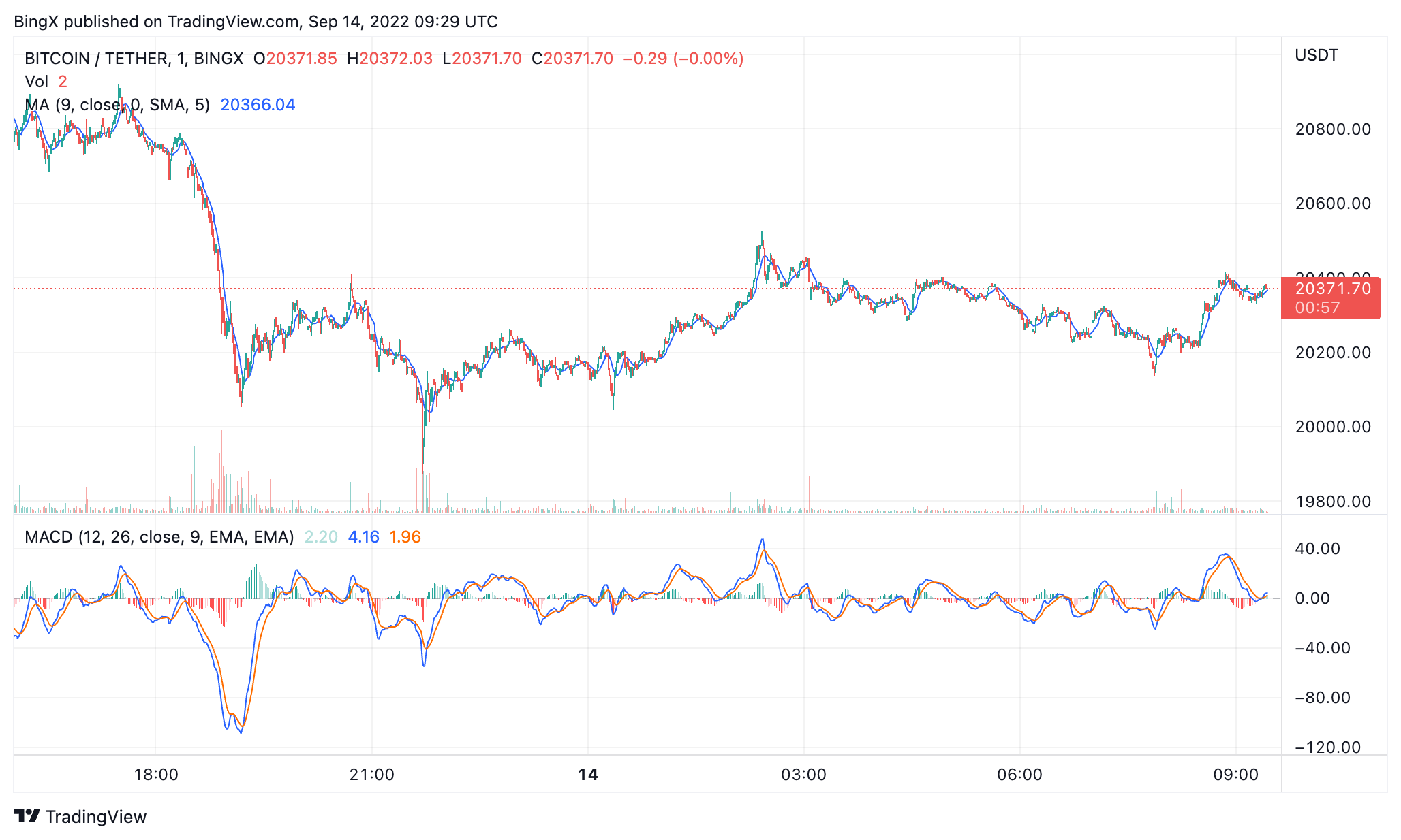 BINGX:BTCUSDT Chart Image by BingX