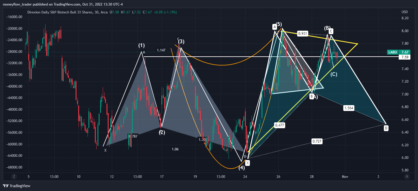 AMEX:LABU Chart Image by moneyflow_trader