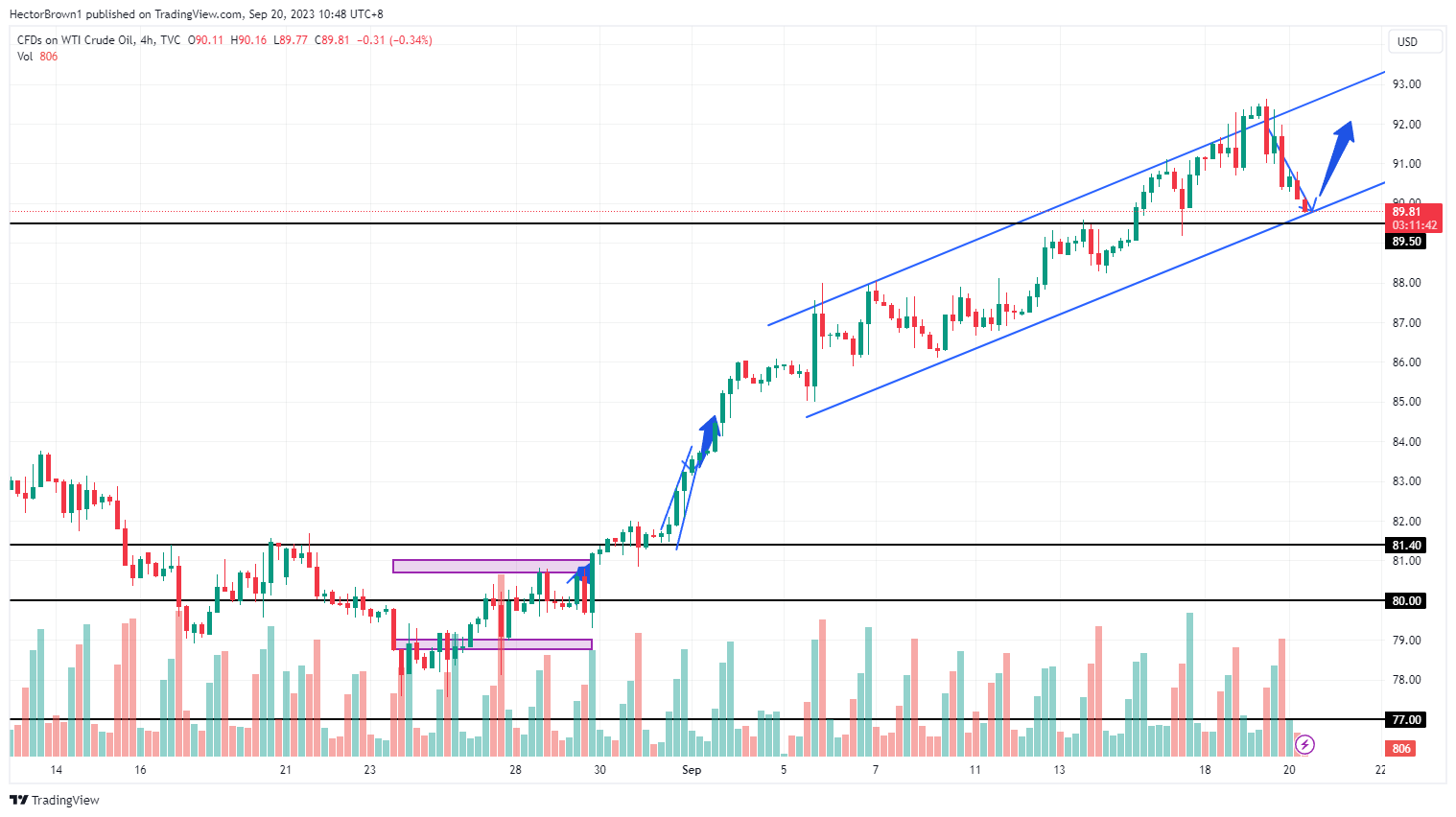 TVC:USOIL Chart Image by HectorBrown1