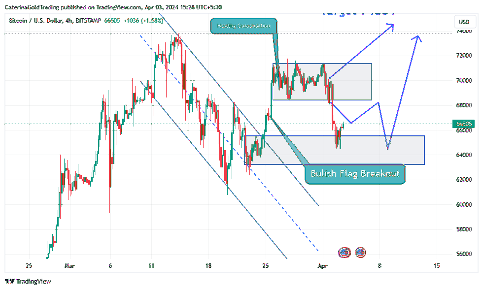 BITSTAMP:BTCUSD Chart Image by CaterinaGoldTrading