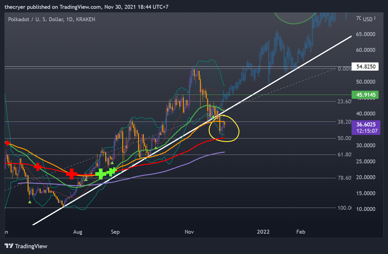 KRAKEN:DOTUSD Chart Image by thecryer