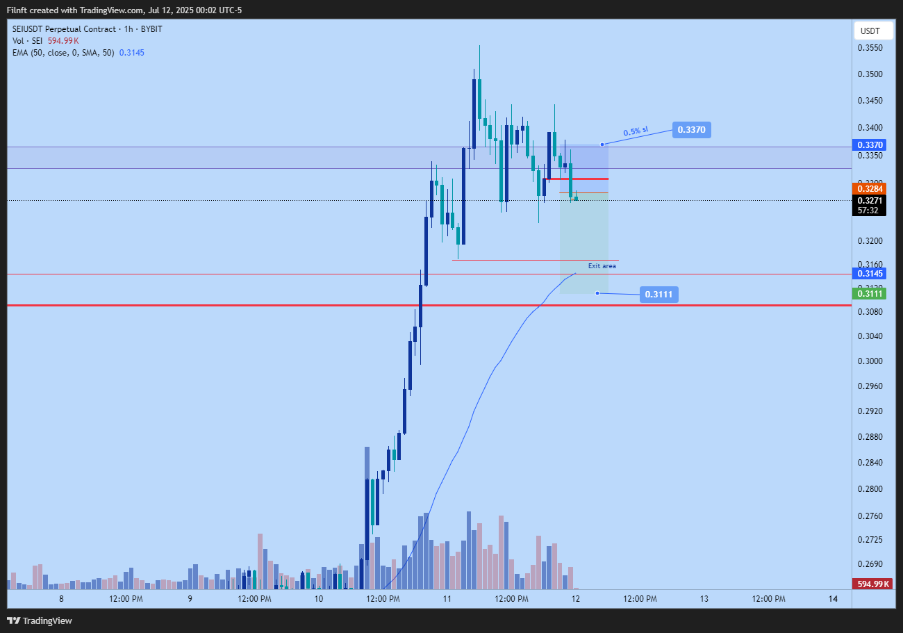 BYBIT:SEIUSDT.P Chart Image by Filnft