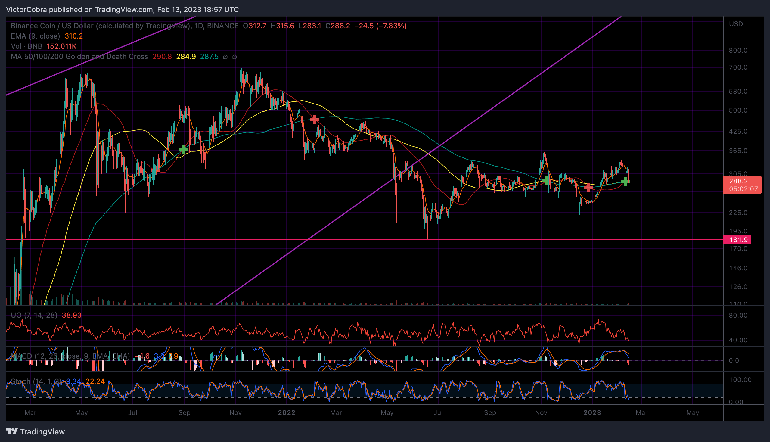 BINANCE:BNBUSD Chart Image by VictorCobra