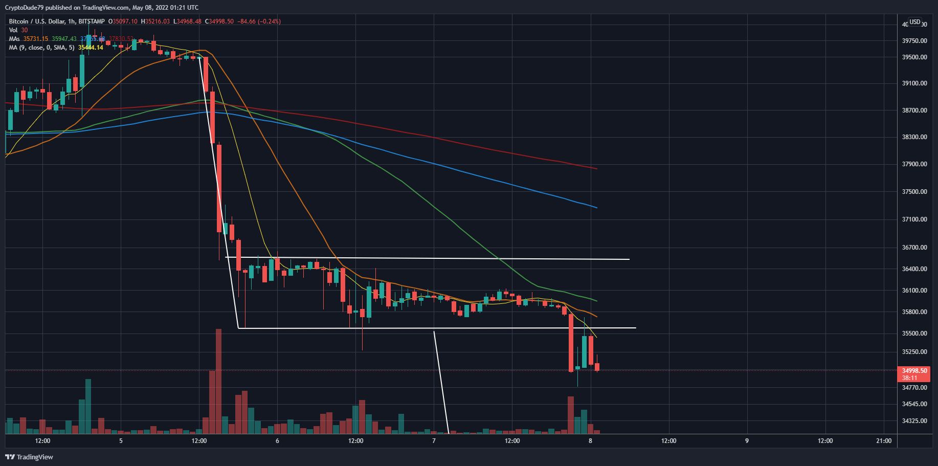 BITSTAMP:BTCUSD Chart Image by CryptoDude79