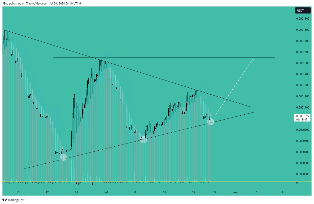BYBIT:RATSUSDT Chart Image by JSAL