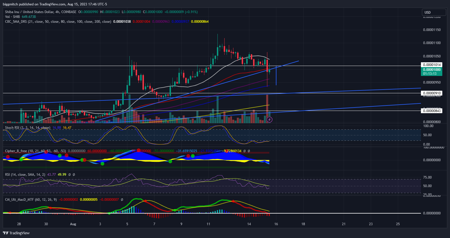 COINBASE:SHIBUSD Chart Image by biggmitch