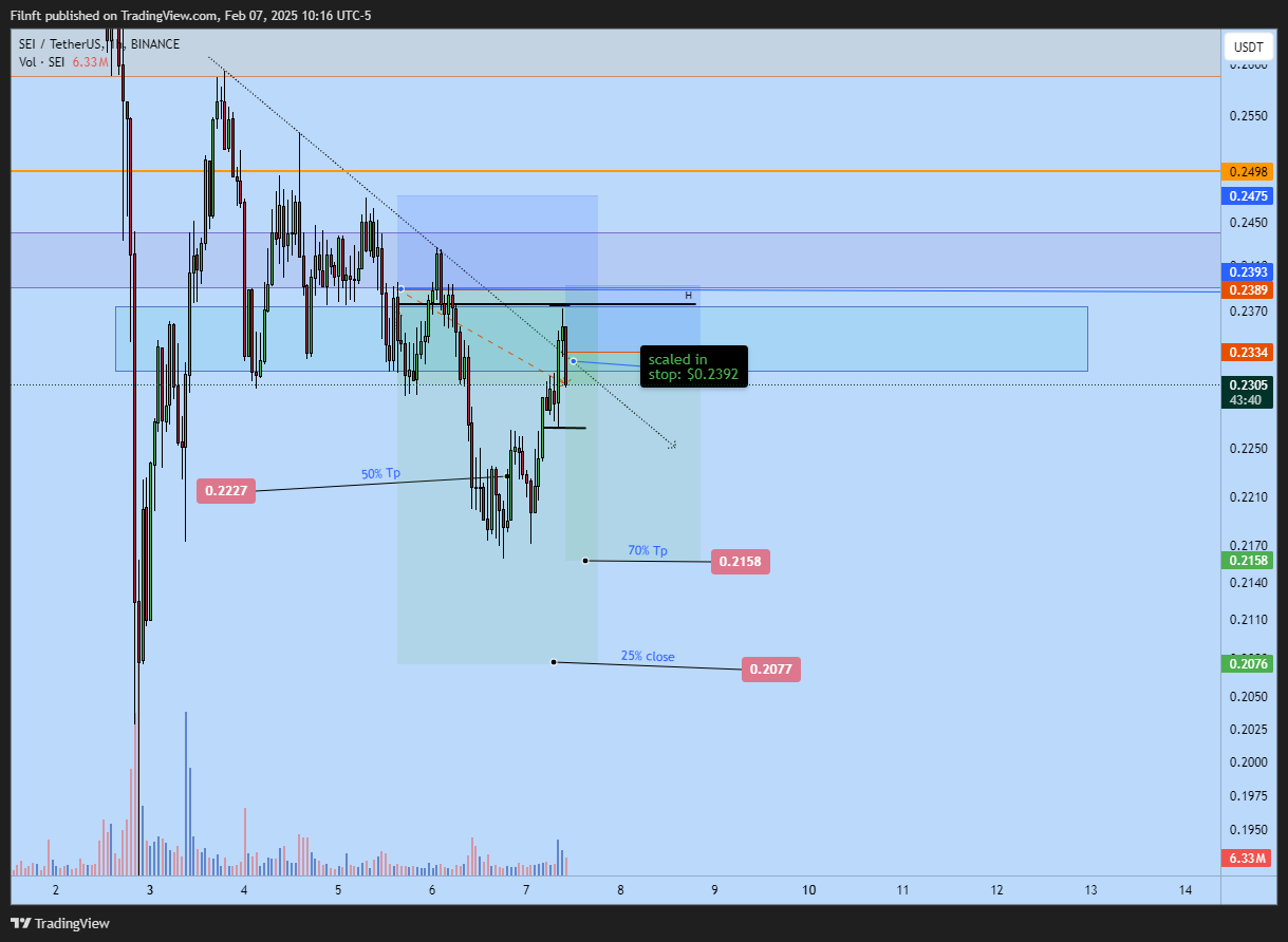 BINANCE:SEIUSDT Chart Image by Filnft