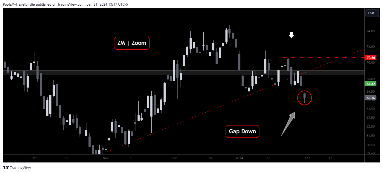 BATS:ZM Chart Image by PopiaMytravelbirdie