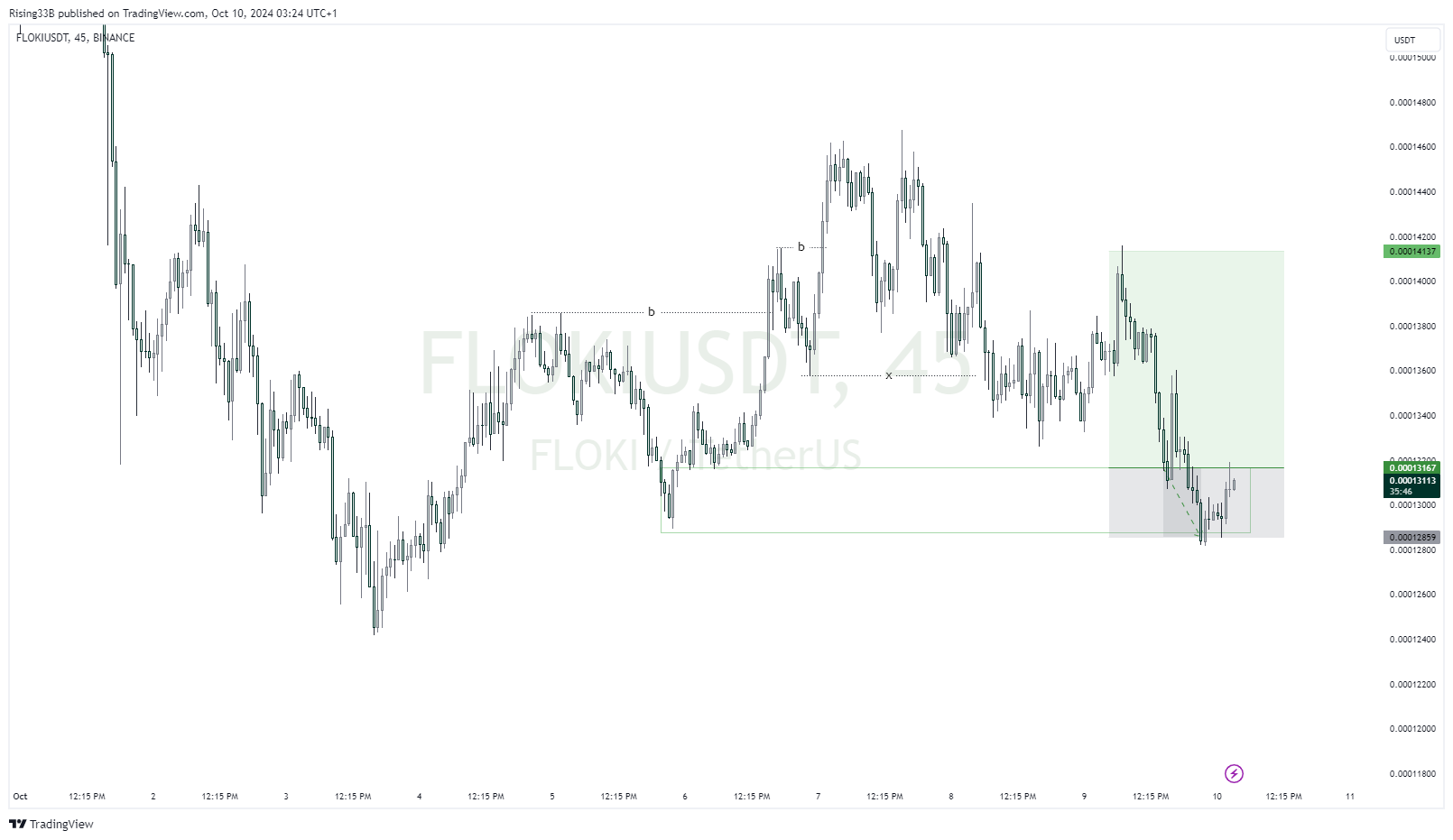 BINANCE:FLOKIUSDT Chart Image by Rising33B