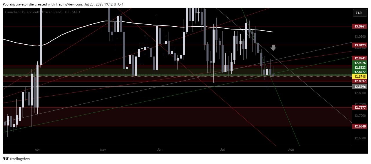 SAXO:CADZAR Chart Image by PopiaMytravelbirdie