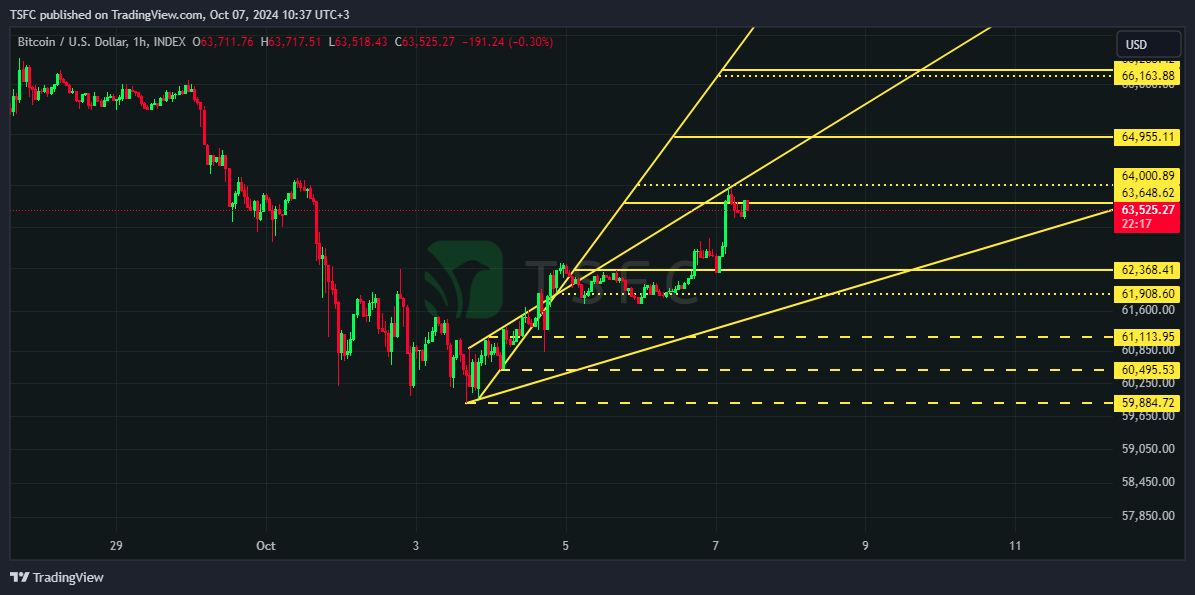 INDEX:BTCUSD Chart Image by TSFC
