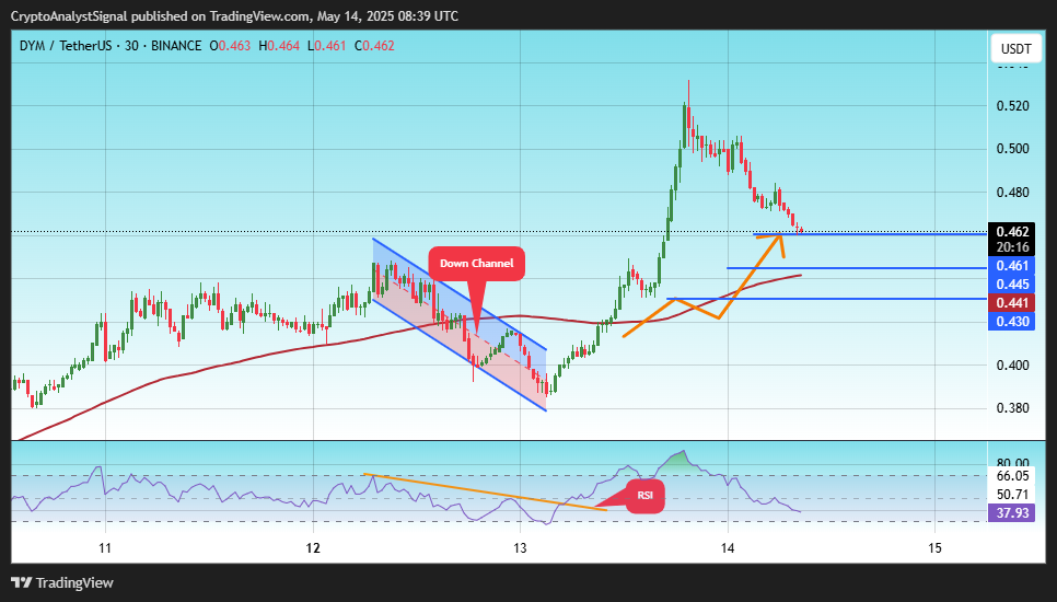 BINANCE:DYMUSDT Chart Image by CryptoAnalystSignal