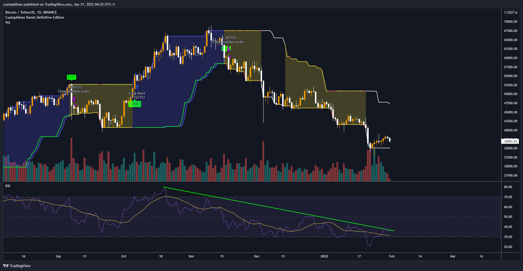 BINANCE:BTCUSDT Chart Image by cyatophilum