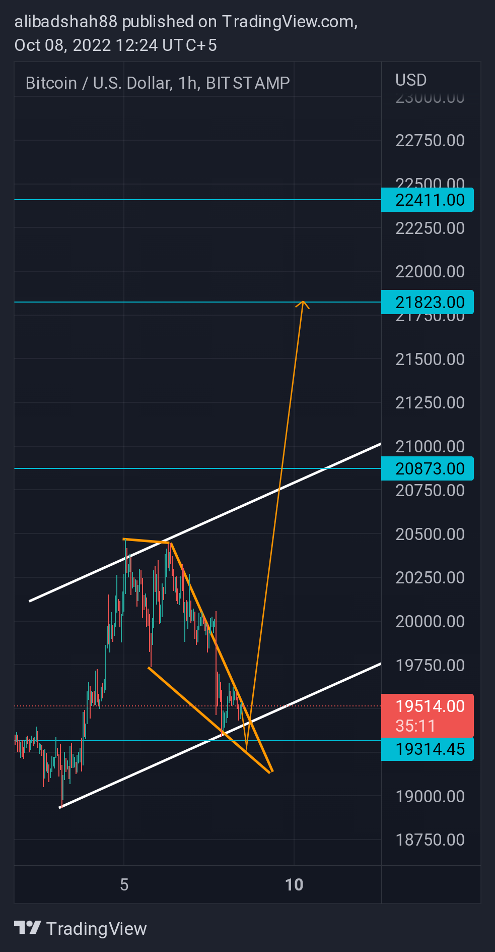 BITSTAMP:BTCUSD Chart Image by alibadshah88