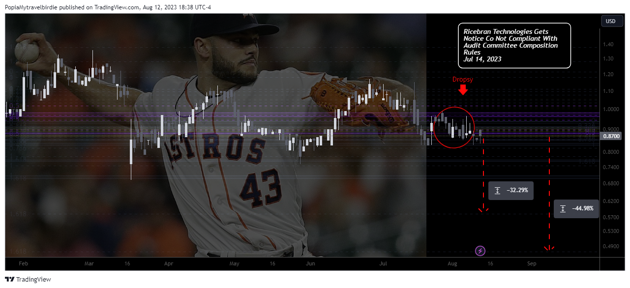 NASDAQ:RIBT Chart Image by PopiaMytravelbirdie