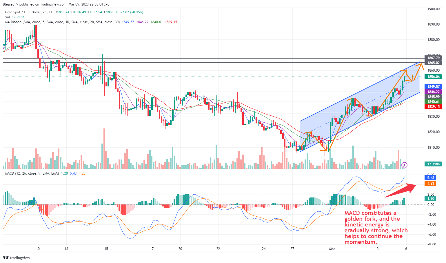 FX:XAUUSD Chart Image by Blessed_V