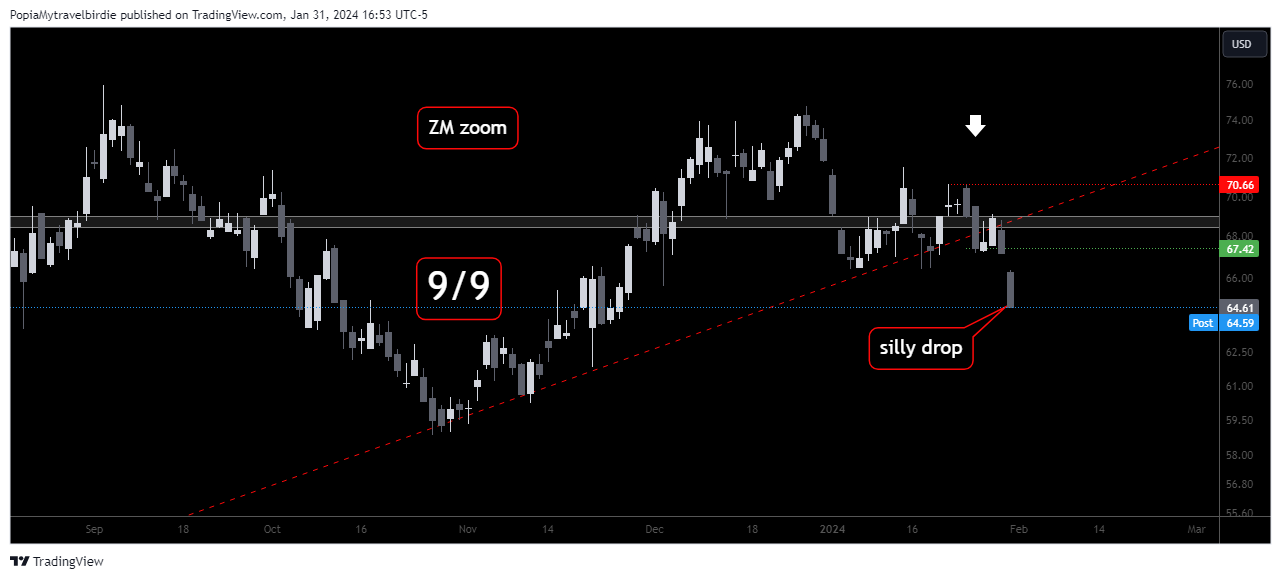 BATS:ZM Chart Image by PopiaMytravelbirdie