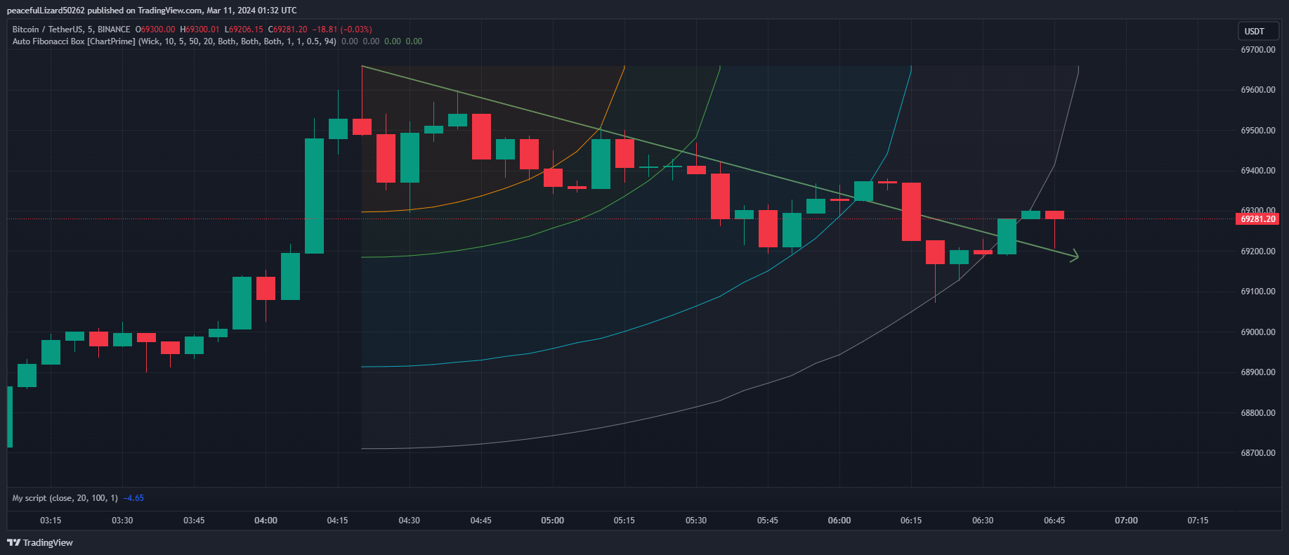 BINANCE:BTCUSDT Chart Image by The_Peaceful_Lizard