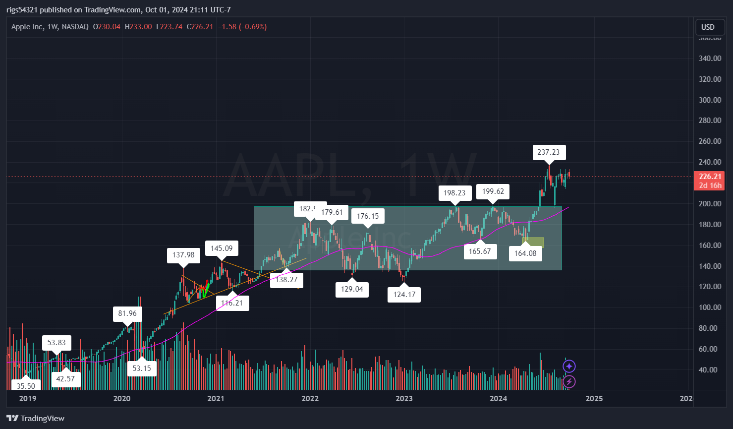 BATS:AAPL Chart Image by rigs54321