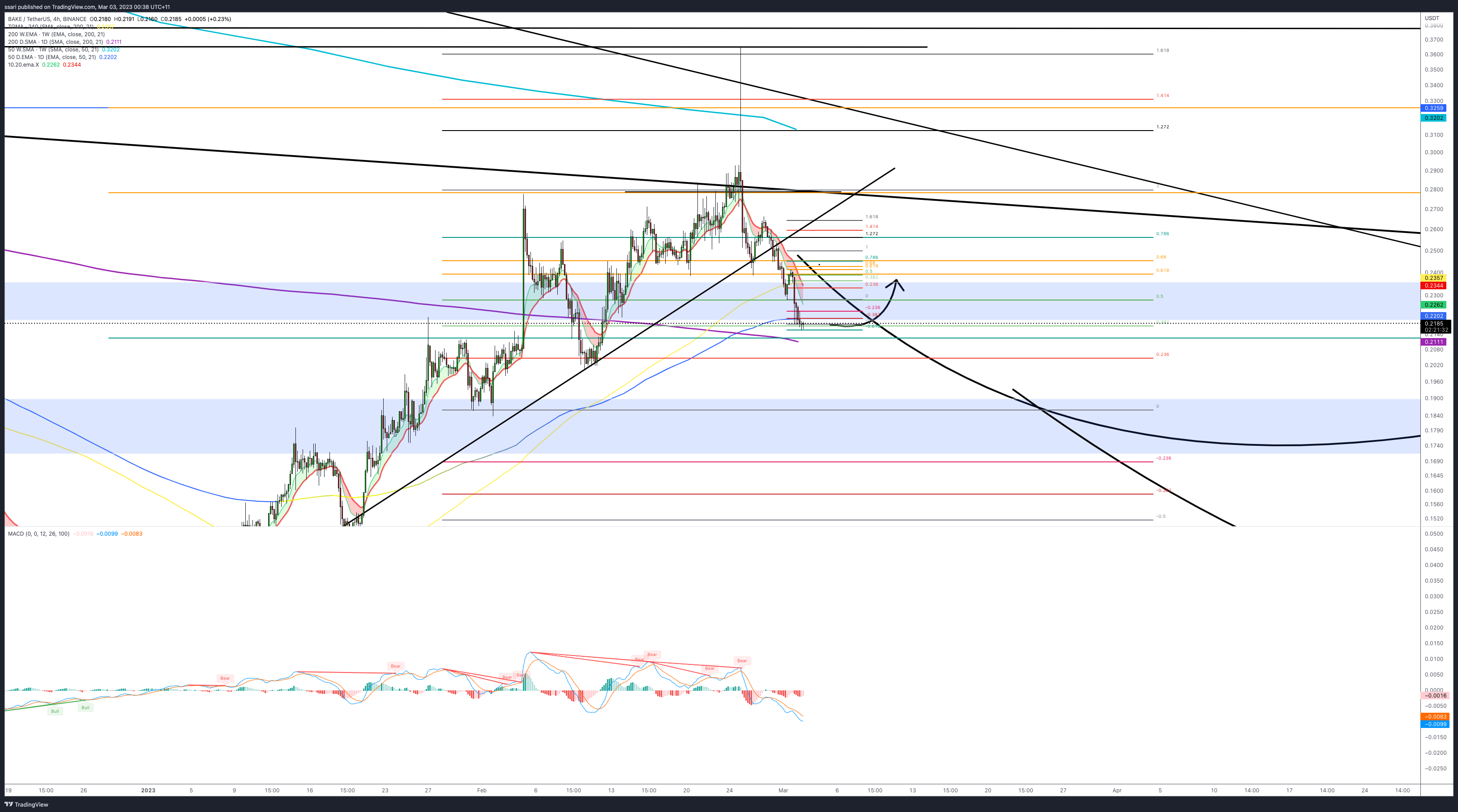 BINANCE:BAKEUSDT Chart Image by ssari
