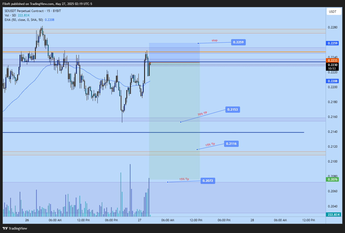 BYBIT:SEIUSDT.P Chart Image by Filnft