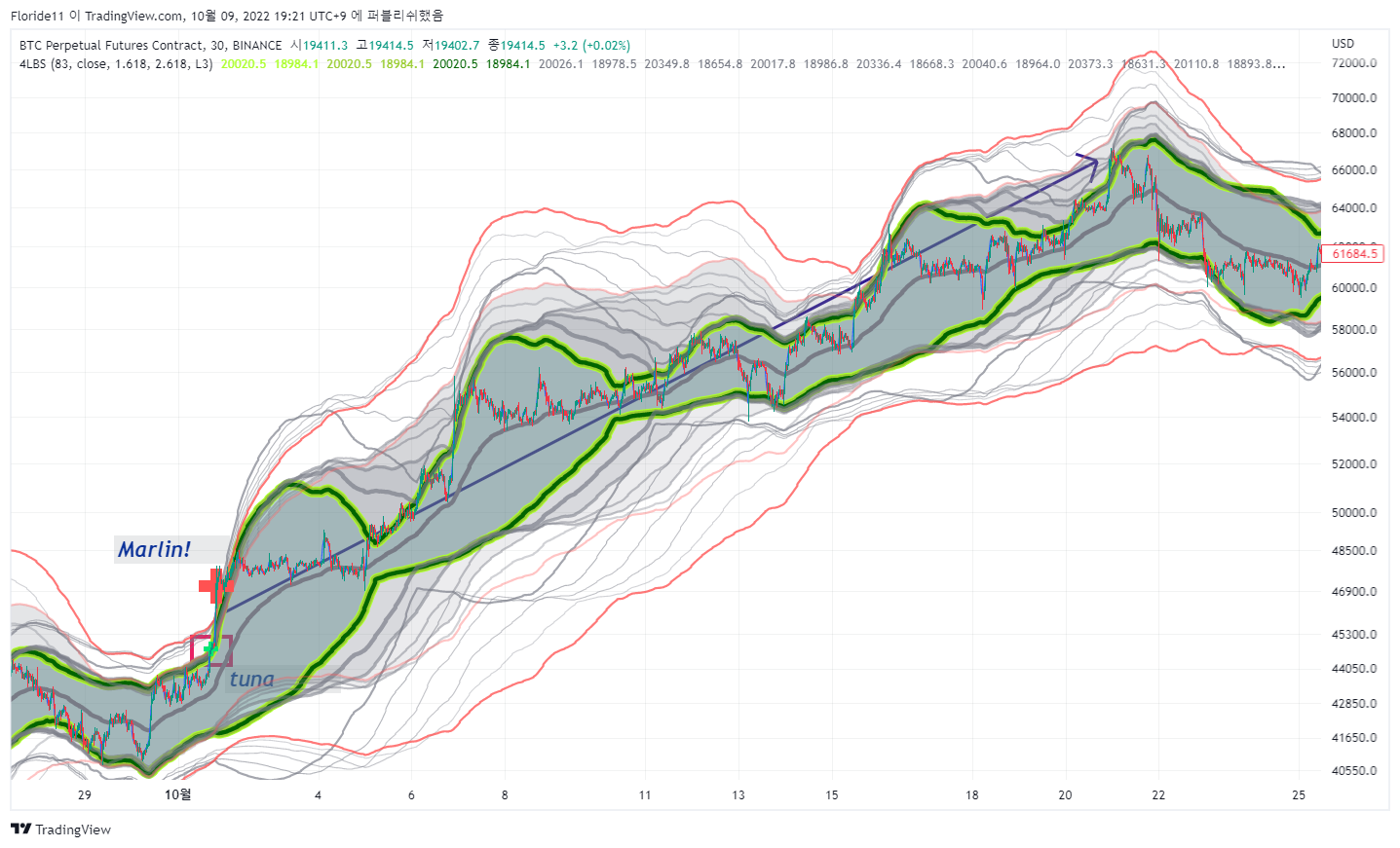 BINANCE:BTCPERP Chart Image by Minerva11