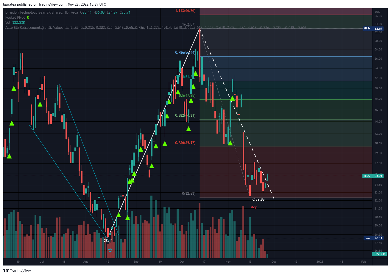 AMEX:TECS Chart Image by lauralea
