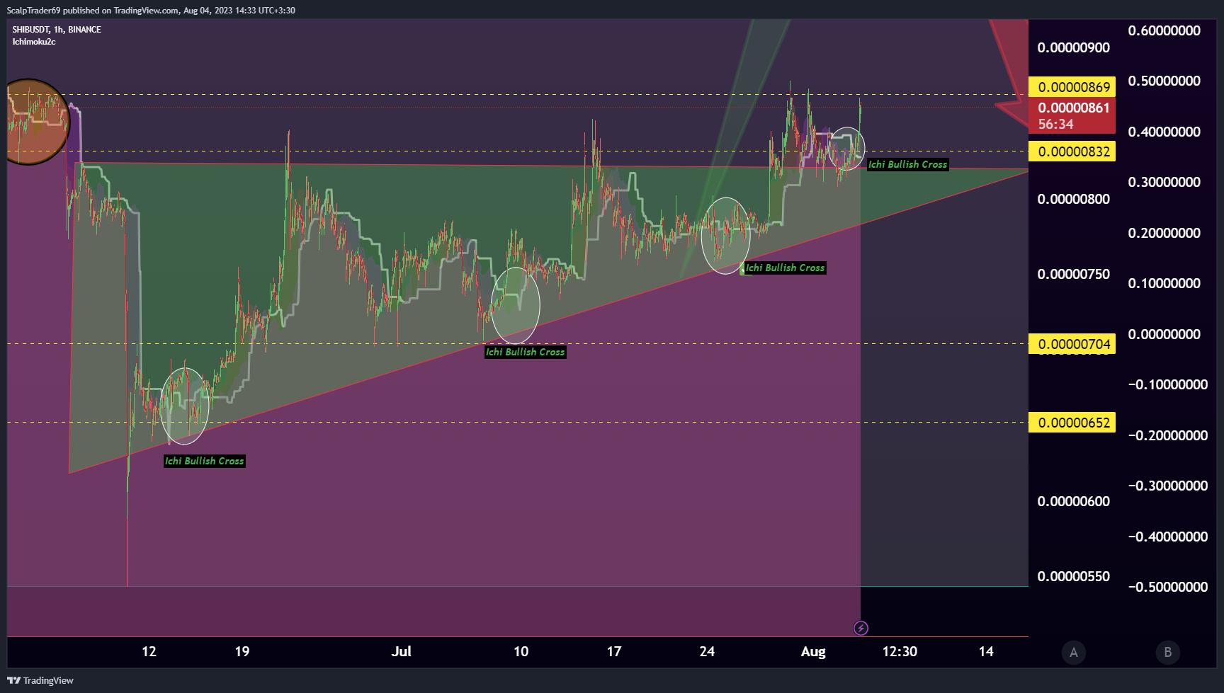 BINANCE:SHIBUSDT Chart Image by HesamUNT