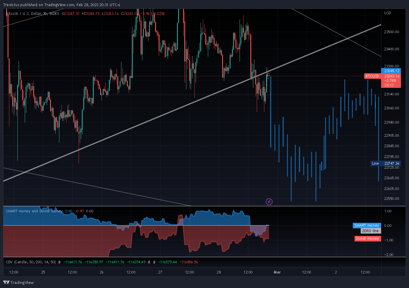 INDEX:BTCUSD Chart Image by Trevictus
