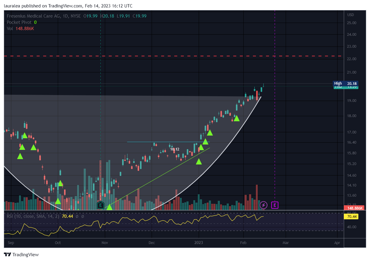 NYSE:FMS Chart Image by lauralea
