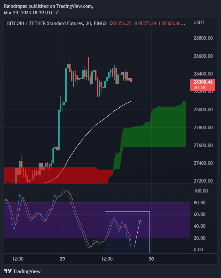 BINGX:BTCUSDT.PS Chart Image by Raindropas