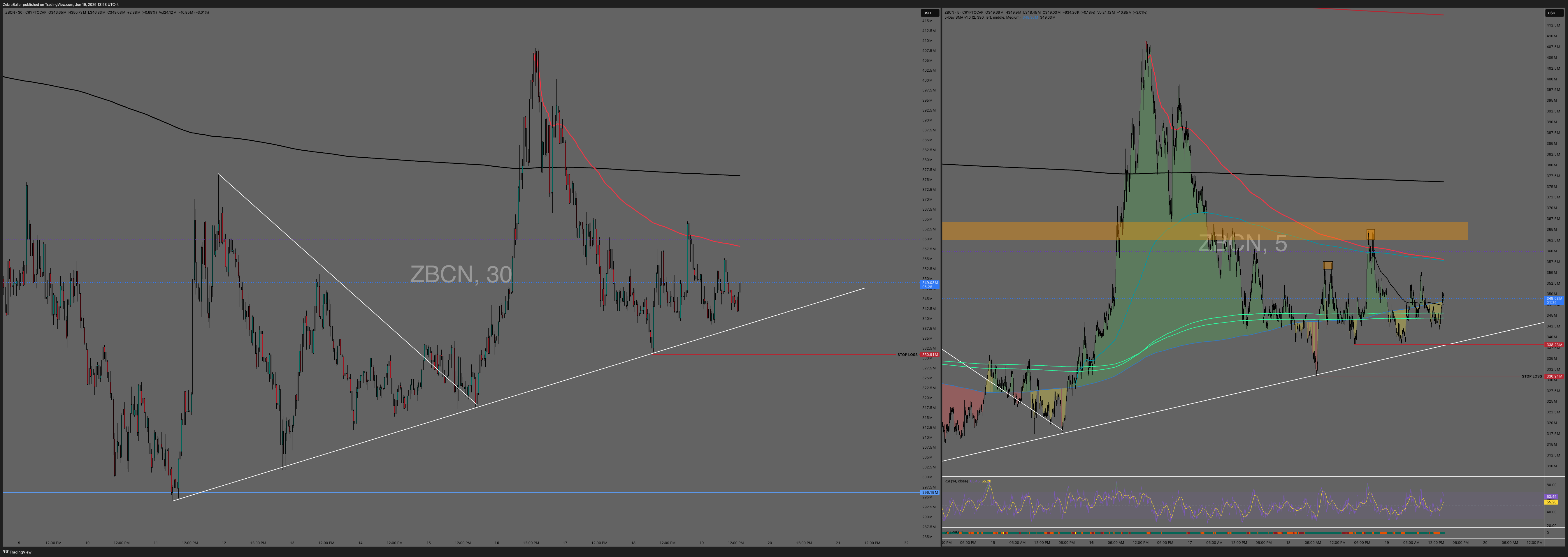 CRYPTOCAP:ZBCN Chart Image by ZebraBaller
