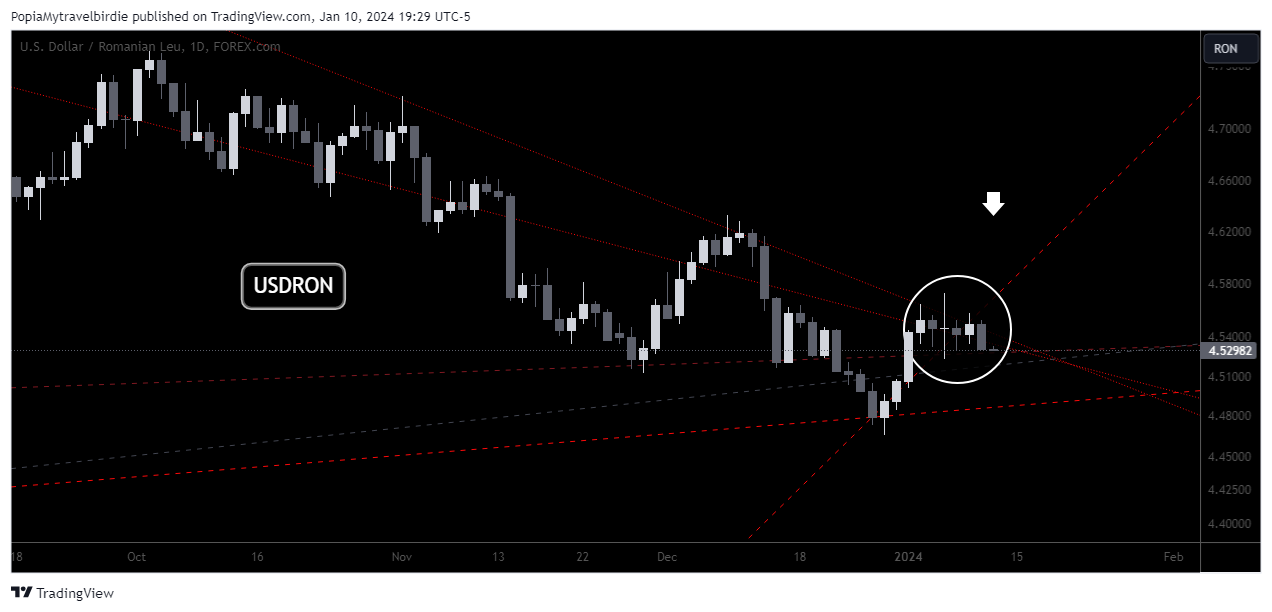 FOREXCOM:USDRON Chart Image by PopiaMytravelbirdie