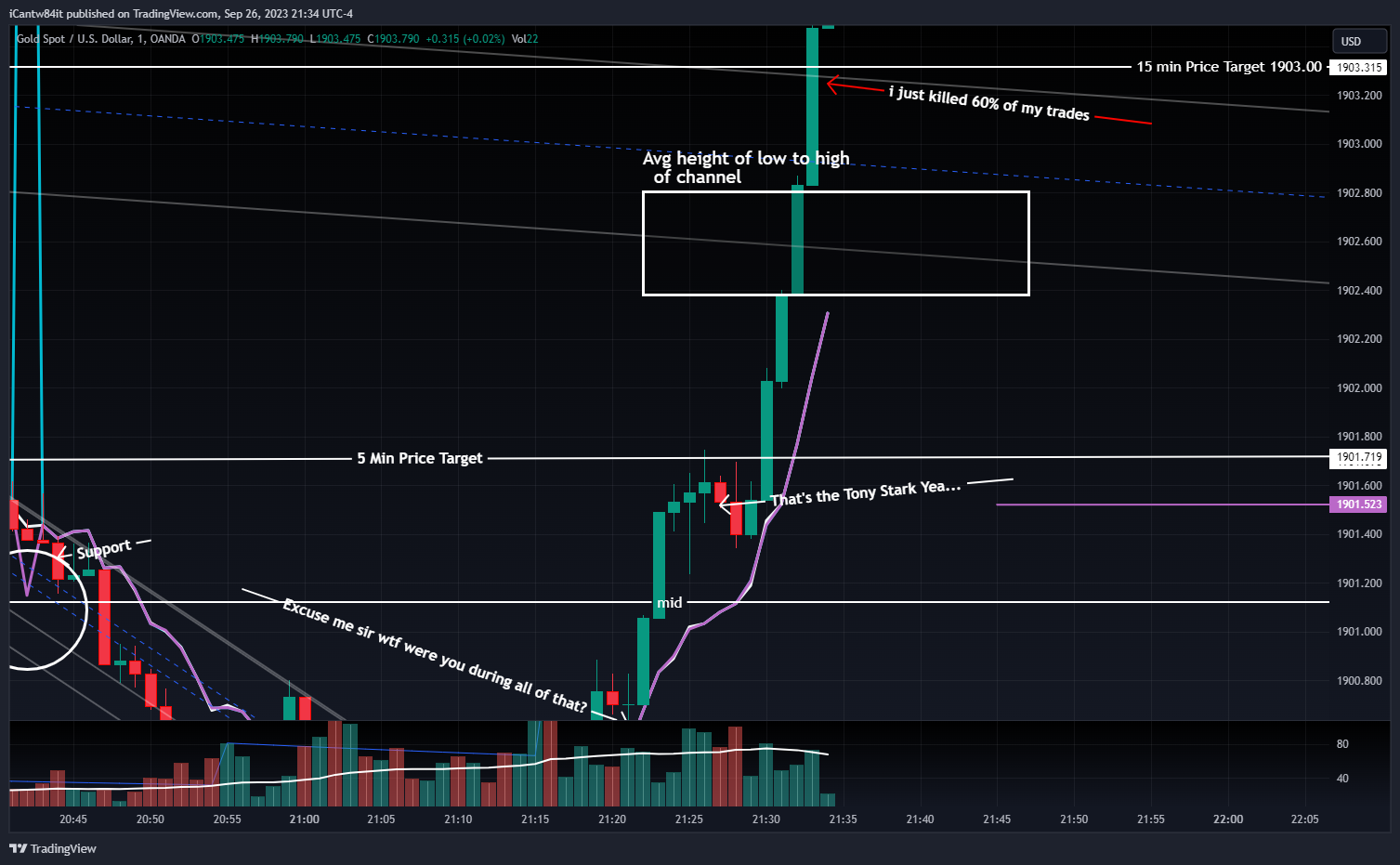 OANDA:XAUUSD Chart Image by iCantw84it