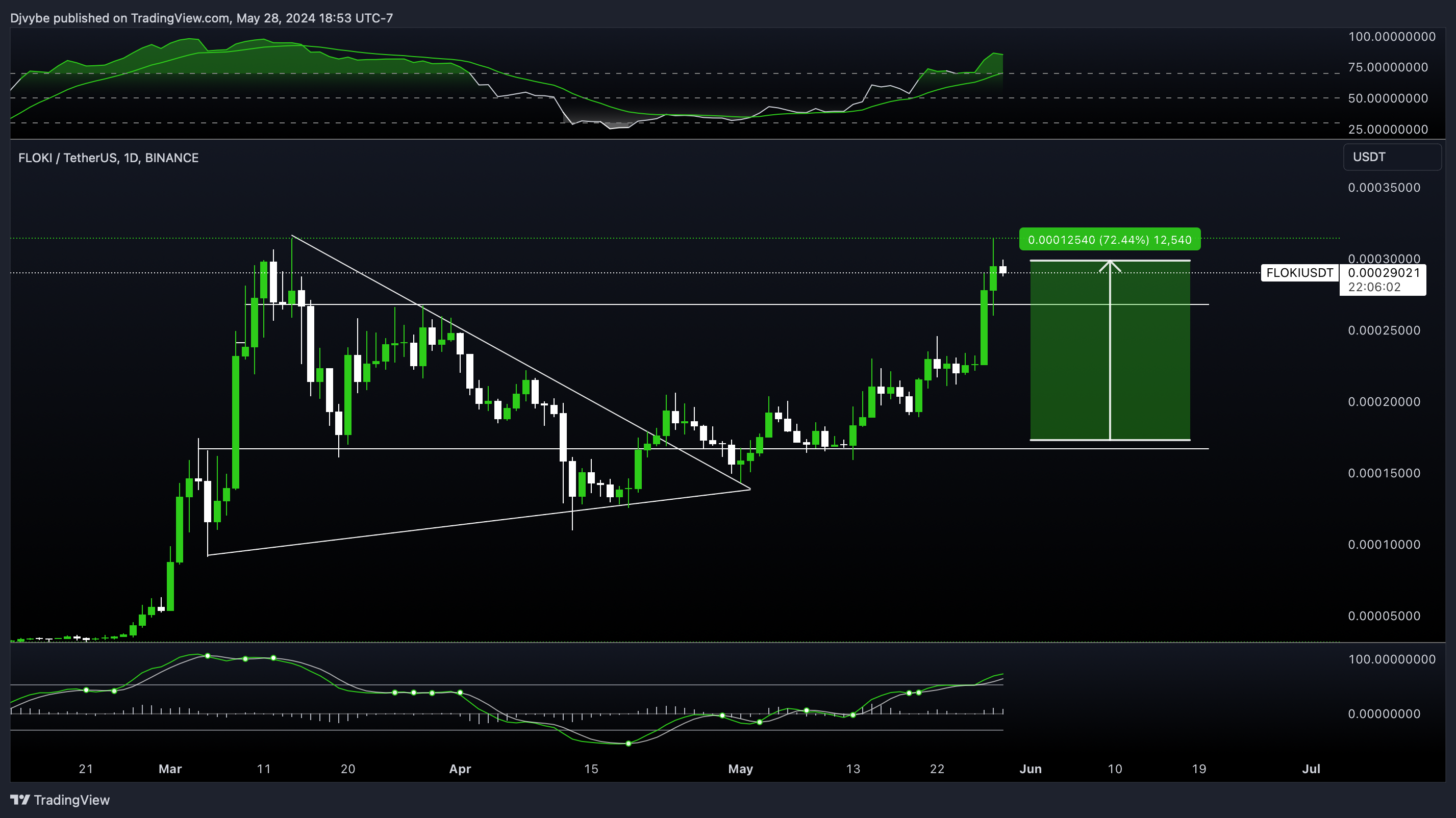 BINANCE:FLOKIUSDT Chart Image by Djvybe