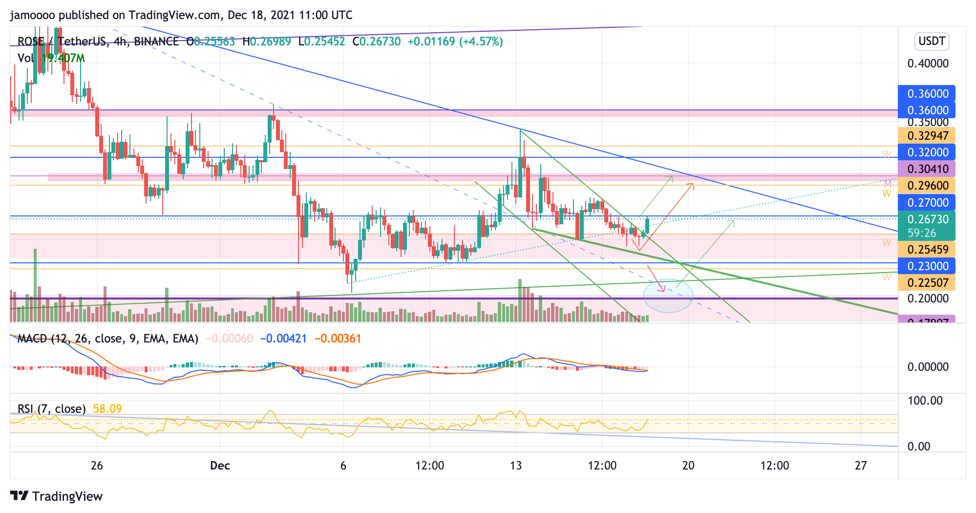 BINANCE:ROSEUSDT Chart Image by jamoooo