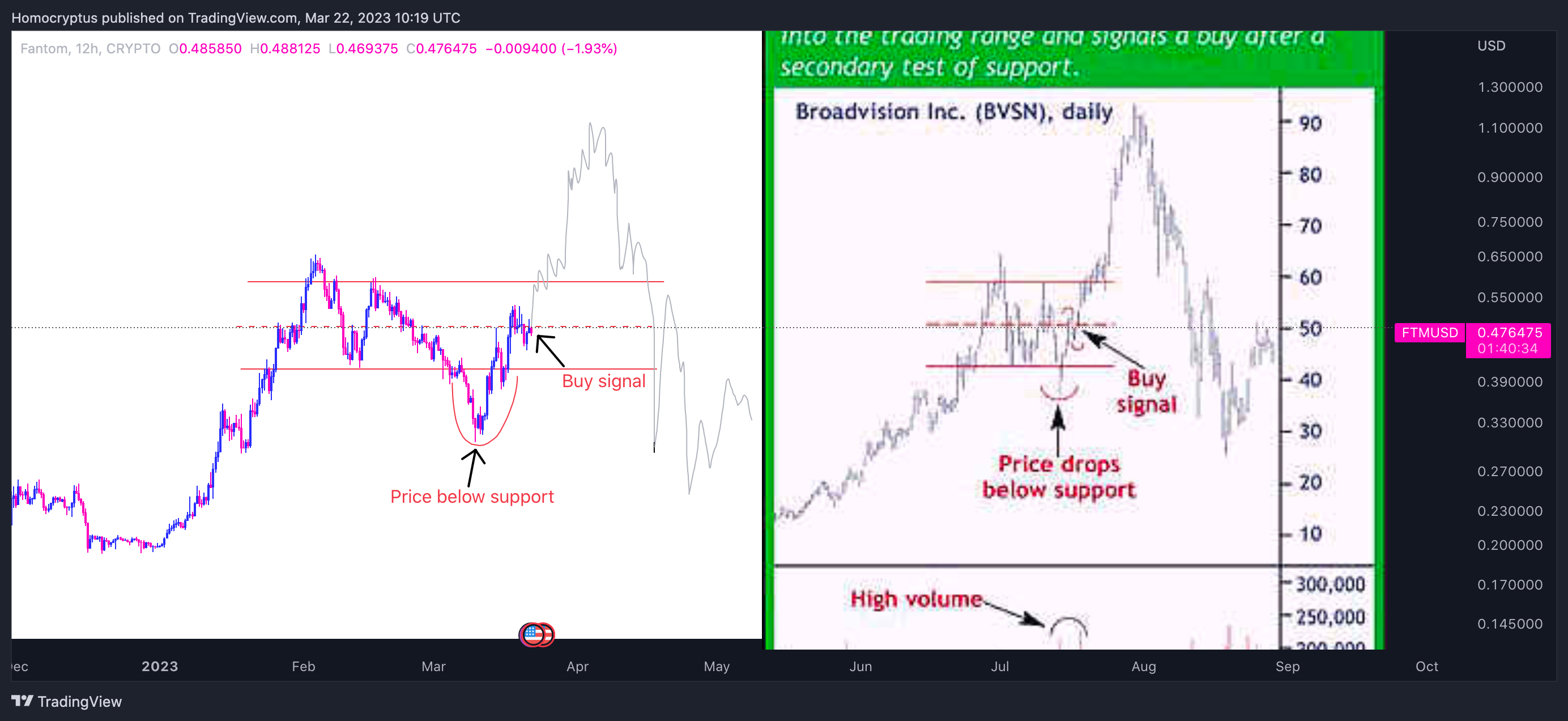 CRYPTO:FTMUSD Chart Image by Homocryptus