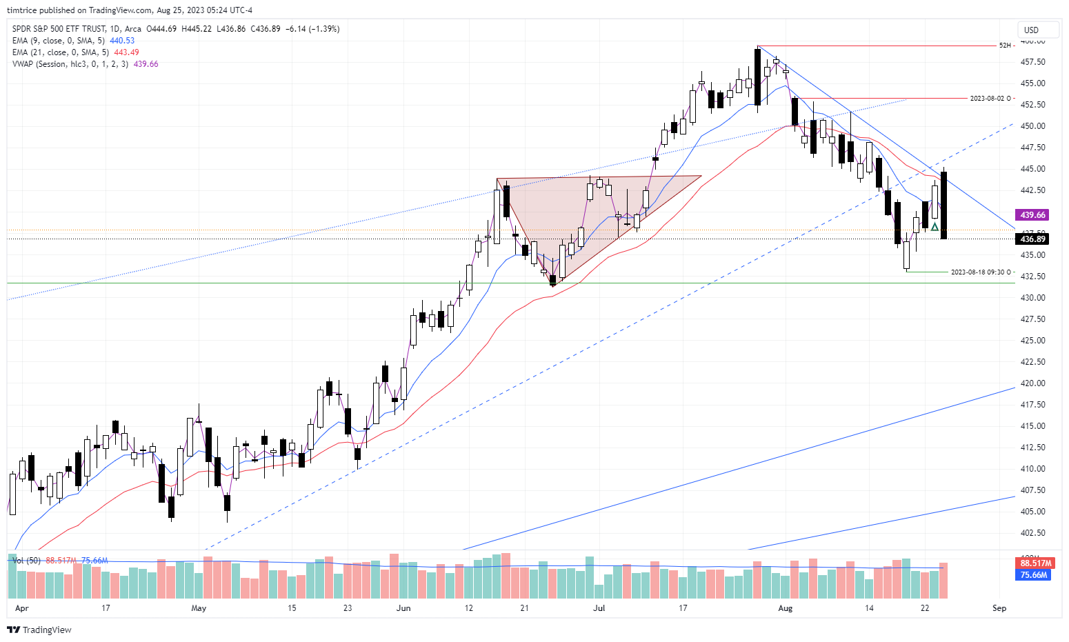 AMEX:SPY Chart Image by timtrice