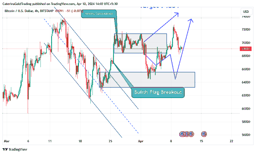 BITSTAMP:BTCUSD Chart Image by CaterinaGoldTrading