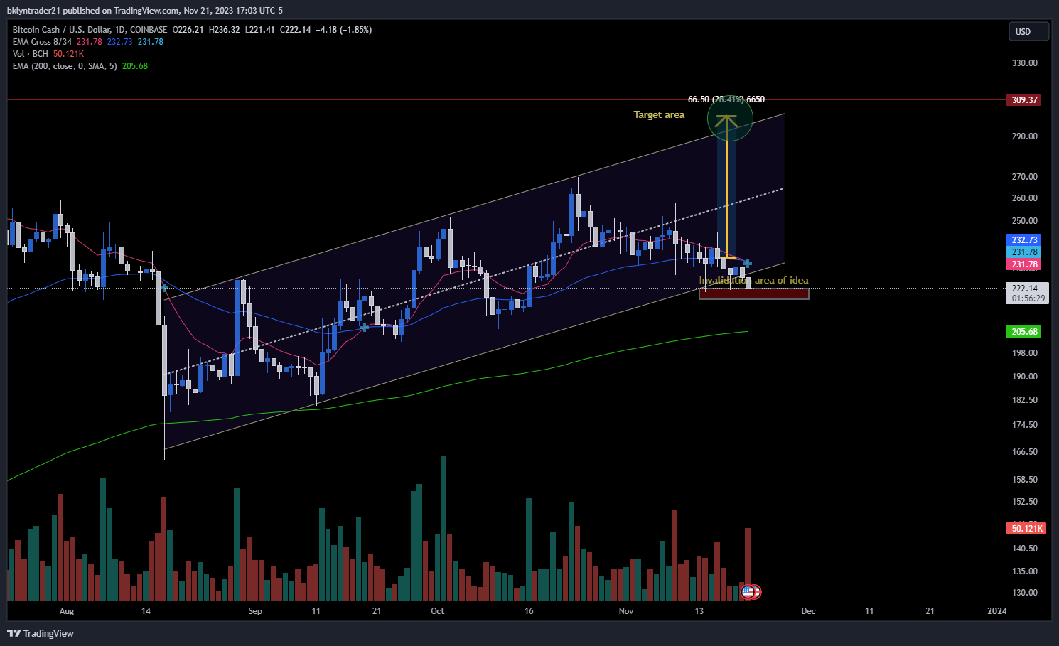 COINBASE:BCHUSD Chart Image by bklyntrader21