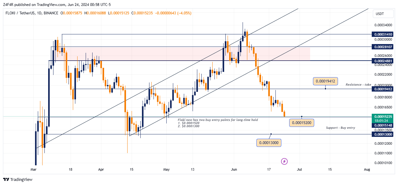 BINANCE:FLOKIUSDT Chart Image by Z4F4R