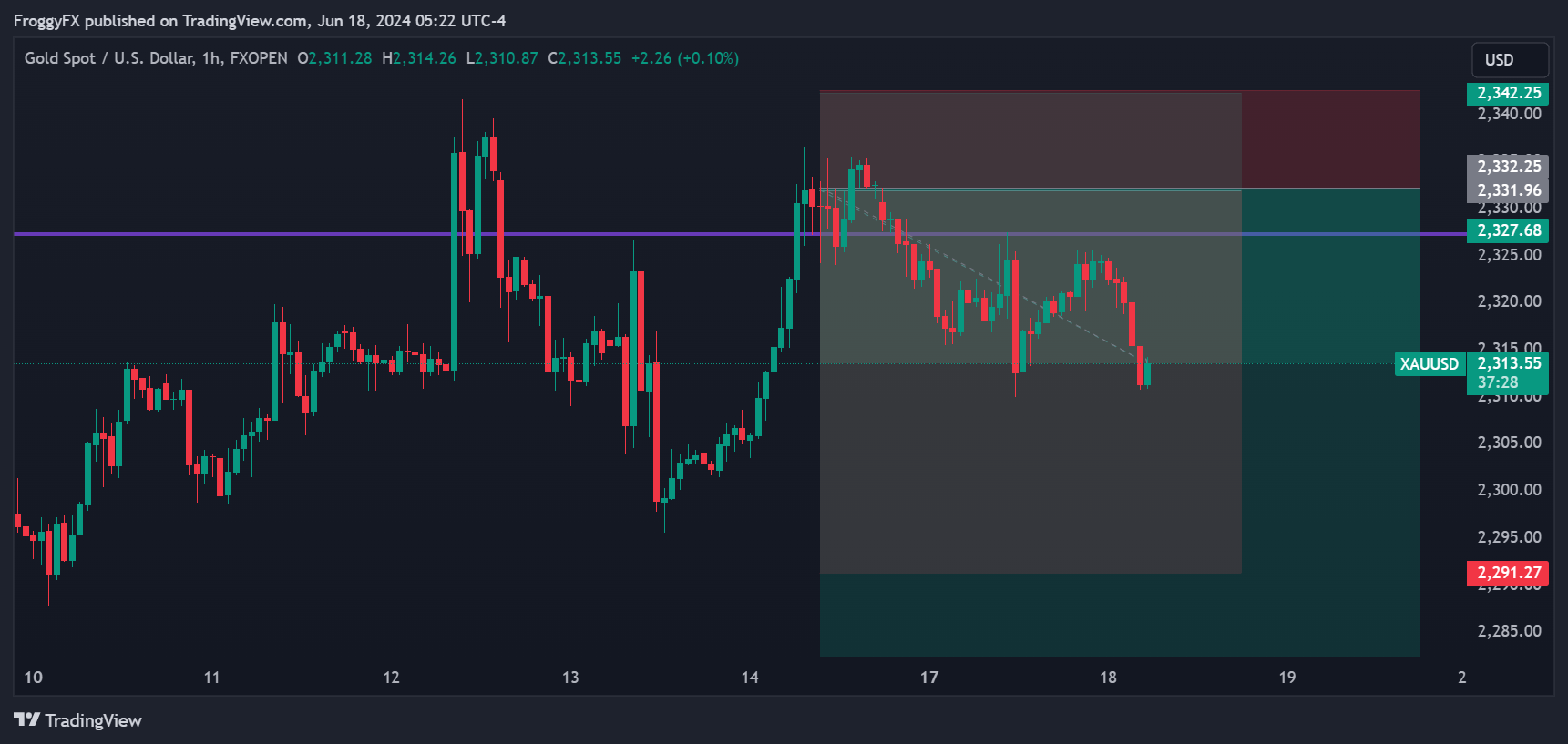 FXOPEN:XAUUSD Chart Image by FroggyFX