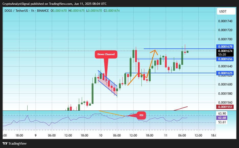 BINANCE:DOGSUSDT Chart Image by CryptoAnalystSignal