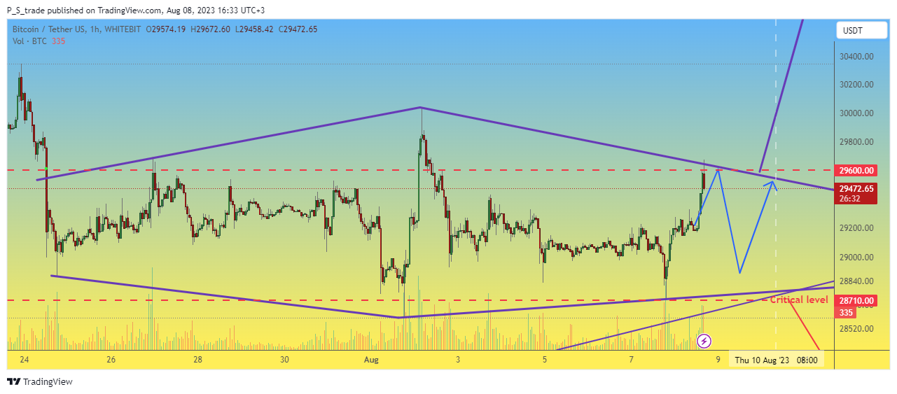WHITEBIT:BTCUSDT Chart Image by P_S_trade
