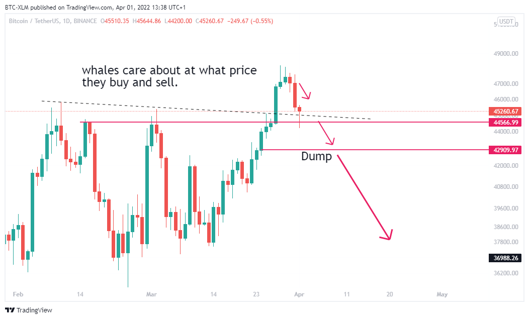 BINANCE:BTCUSDT Chart Image by BTC-XLM