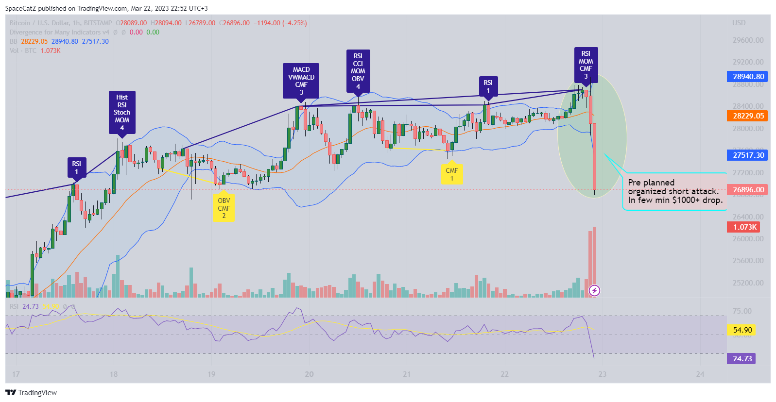 BITSTAMP:BTCUSD Chart Image by SpaceCatZ