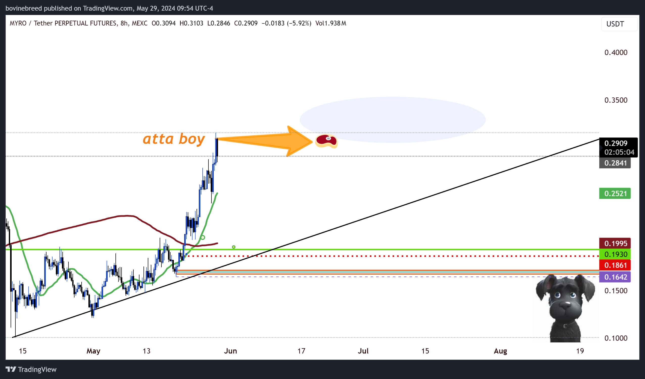 MEXC:MYROUSDT.P Chart Image by bovinebreed