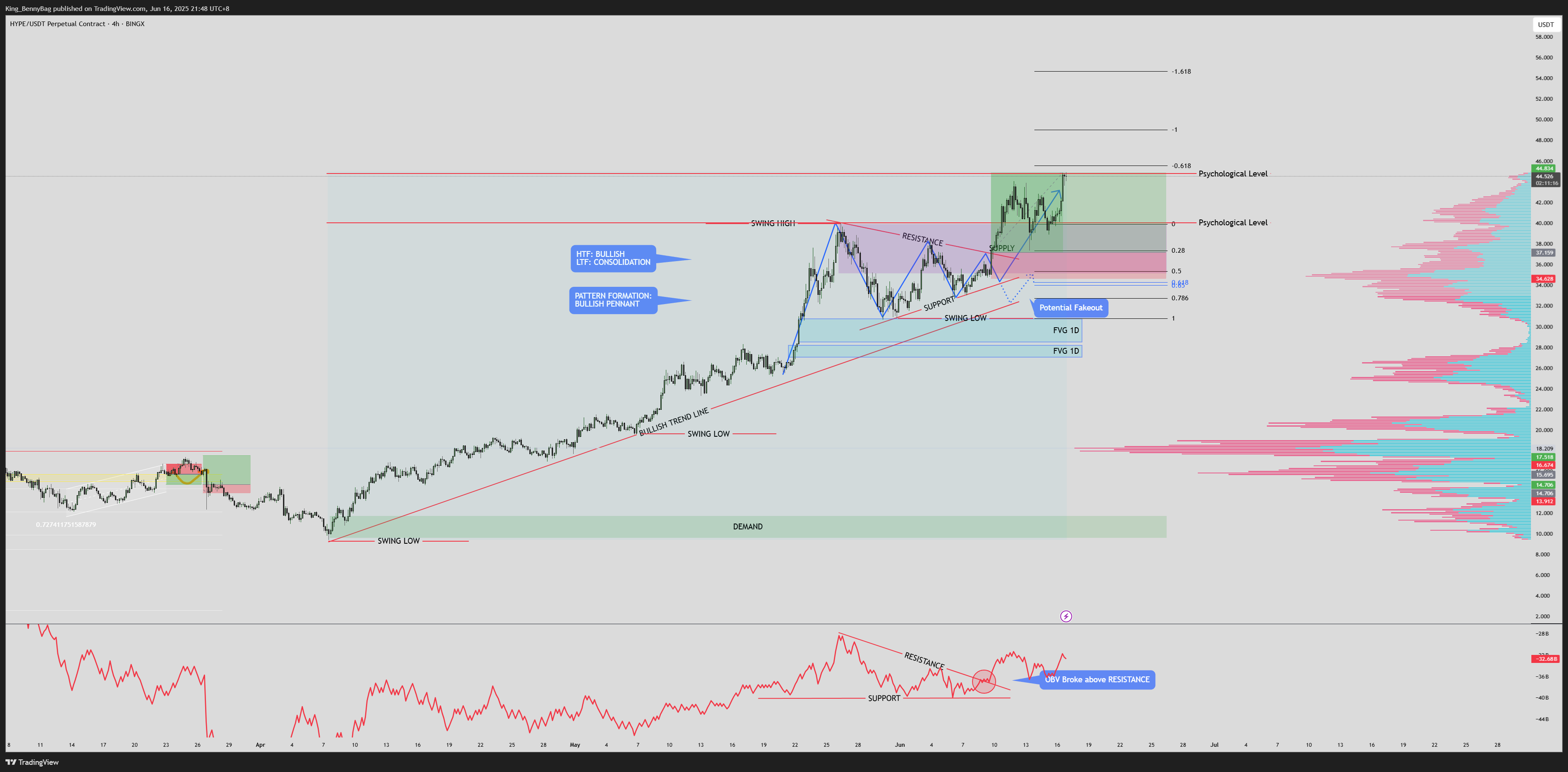 BINGX:HYPEUSDT.P Chart Image by King_BennyBag