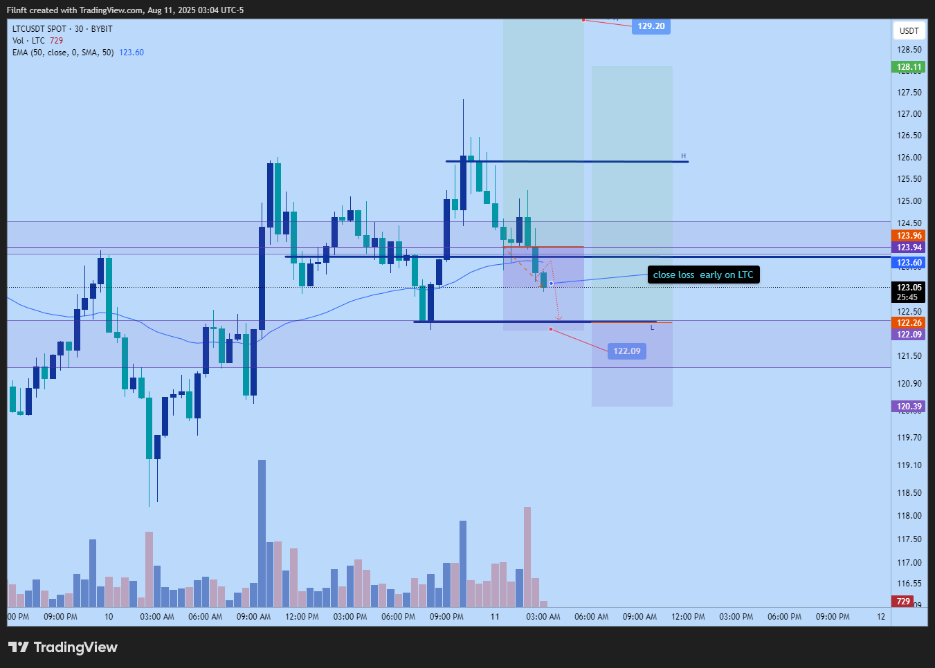 BYBIT:LTCUSDT Chart Image by Filnft
